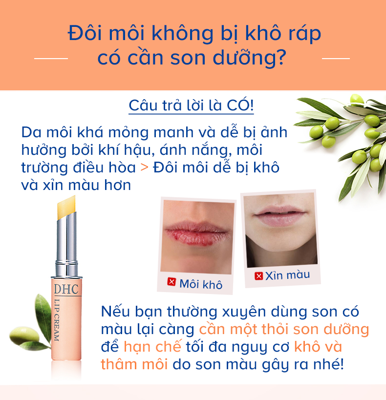 Review son thỏi DHC 